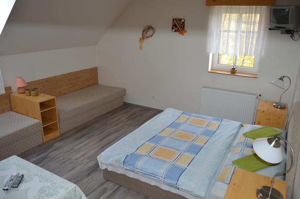 Penzion U Pily Paseky nad Jizerou Room photo